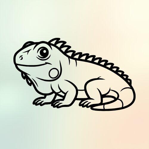 RĀPUĻIEM, TERĀRIJIEM