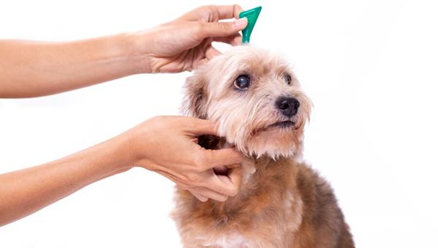 Pretparazītu līdzekļi