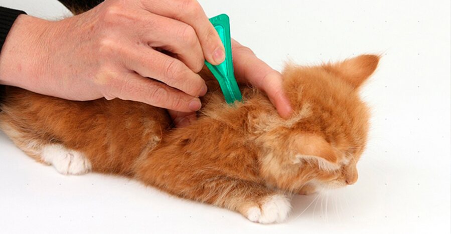 Pretparazītu līdzekļi