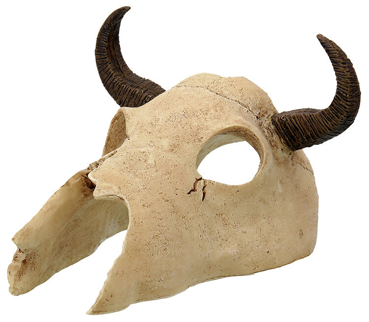 Dekors terārijam / galvaskauss - Repti Planet Buffalo skull 12,5x11,8x8cm
