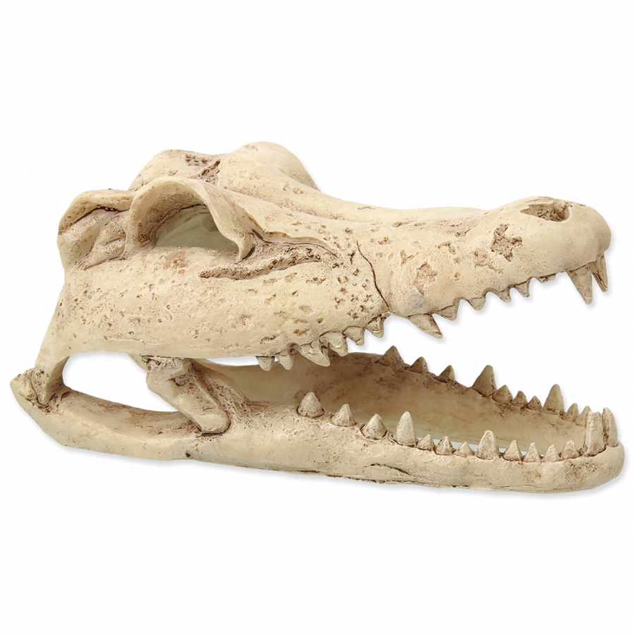 Dekors terārijam - Repti Planet Crokodil skull 13,8x6,8x6,5cm