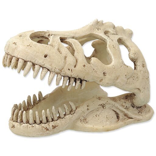 Dekors terārijam - Repti Planet T-REX skull 13,3x8,5x9cm