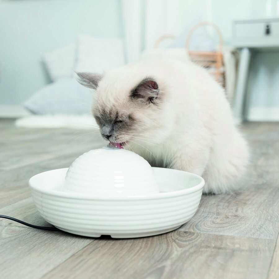 Automātiskā dzirdne dzīvniekiem : Trixie Vital Flow Mini drinking fountain, ceramic, 0.8 l/ø 24 × 10 cm, white