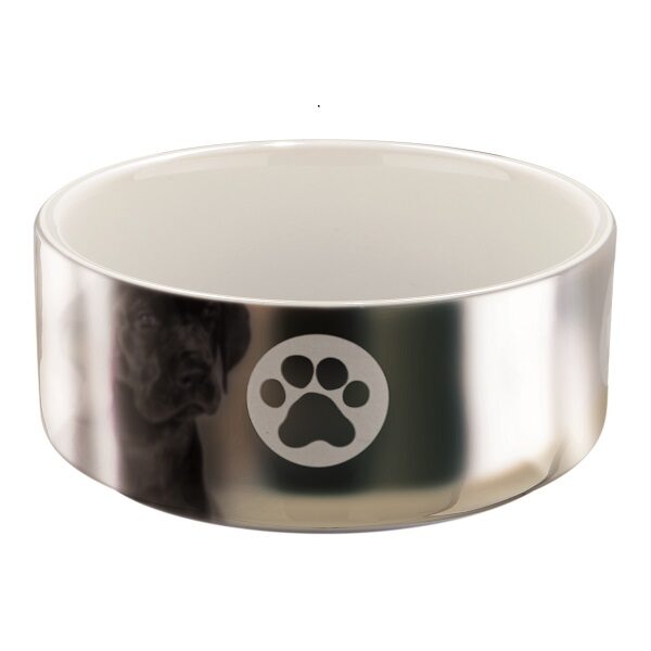 Keramiskā bļoda ar zīmējumu suņiem - Trixie Ceramic bowl with motif, 0.3 l/ø 12 cm, silver/white