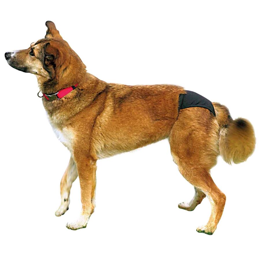 Biksītes suņiem - Trixie Protective Pants  “L”, 50-59cm, black
