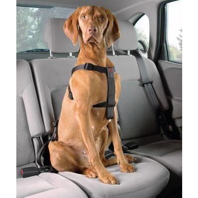 Auto drošības siksnas D&D Dog-Secure L 70-90 cm