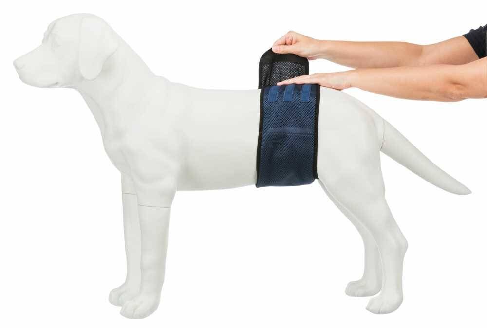 Autiņbiksītes suņiem Trixie Diapers for male dogs, mesh material, S: 29–37 cm, dark blue