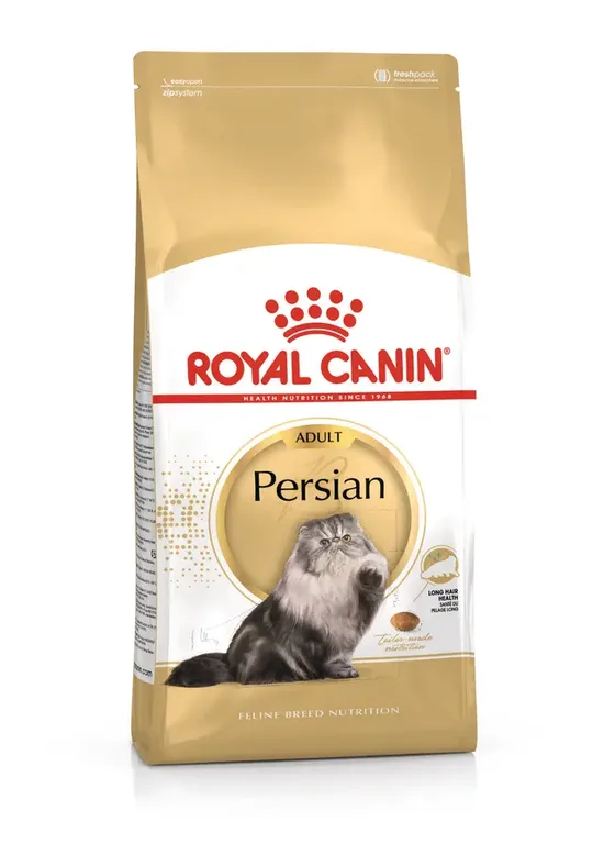Persian Adult