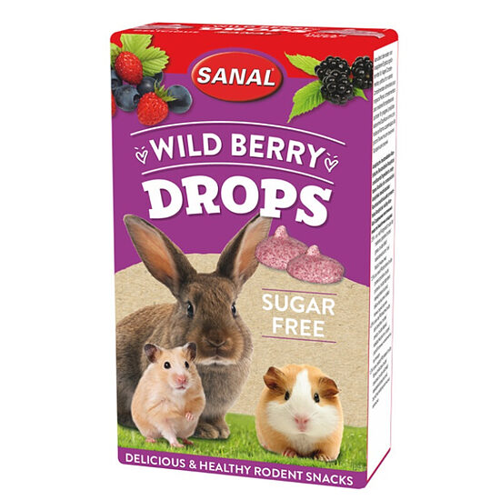 Sanal Wild Berry Drops Sugar Free, 45 г — лакомства с лесными ягодами, без сахара