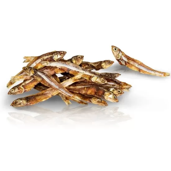 KIDDOG Sunfish 250g