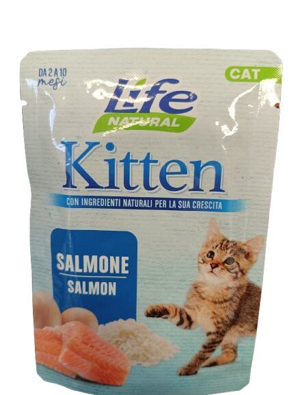 Life Cat Kitten  Лосось