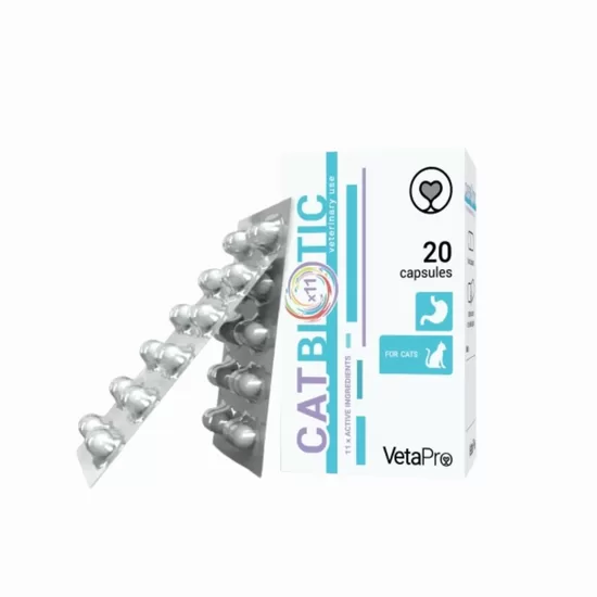 CATBIOTIC N20