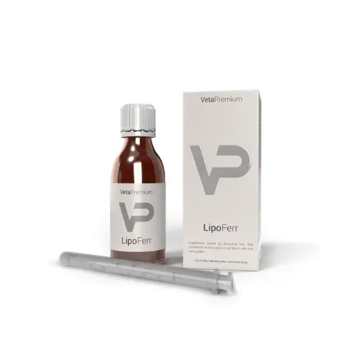 LIPOFERR 120 мл 