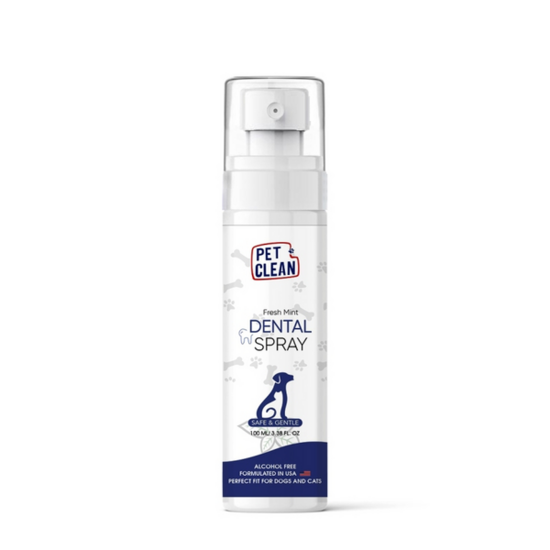  DENTAL SPRAY 100ml 