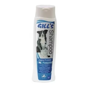 GILLS Alghe Protein Shampoo for Dogs & Cats 200ml - Šampūns suņiem un kaķiem ar aļģu proteīniem
