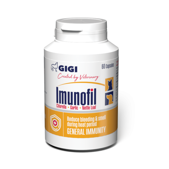GIGI Imunofil 60caps.