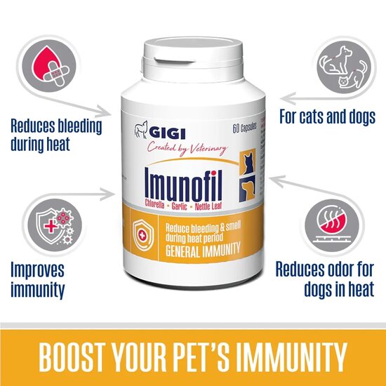 GIGI Imunofil 30 caps.