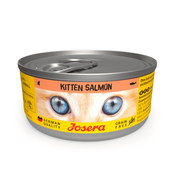 Josera wet Kitten Salmon 85 g - konservi kaķēniem ar lasi