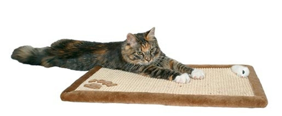 Nagu asināmais - Trixie Scratching Mat 55*35cm, brown