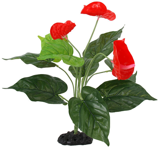 Dekors terārijam - Repti Planet Anthurium flower, 40 cm