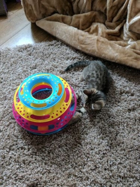 Rotaļlieta kaķiem - Trixie, Cat circle tower, plastic, augstums - 25 cm