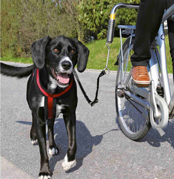 Pavada velosipēdam - Trixie Biker Set