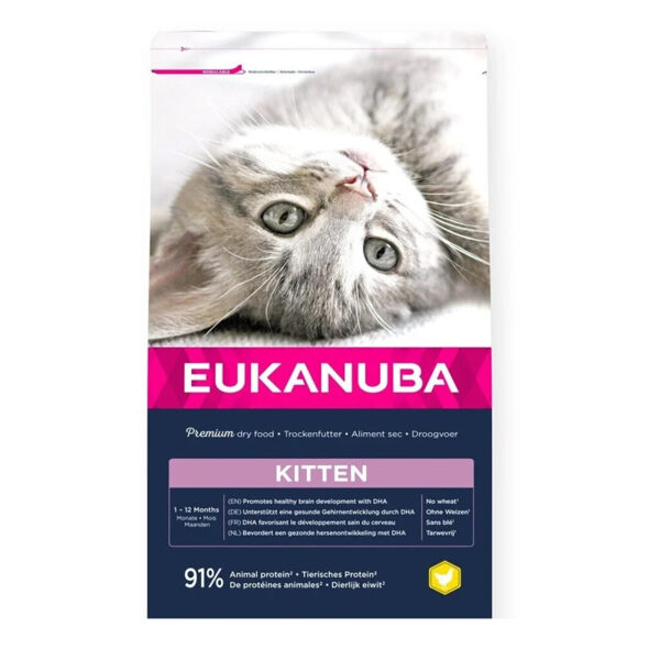 Eukanuba CAT KITTEN HEALTHY START CKN 10KG - Sausā barība kaķēniem