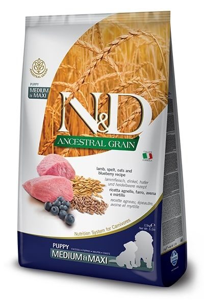 Farmina N&D Dog Ancestral grain Lamb & Blueberry Puppy M/L, 12kg - сухой корм с пониженным содержанием зерна для щенков средних, крупных пород и беременных или кормящих сук (баранина, черника)
