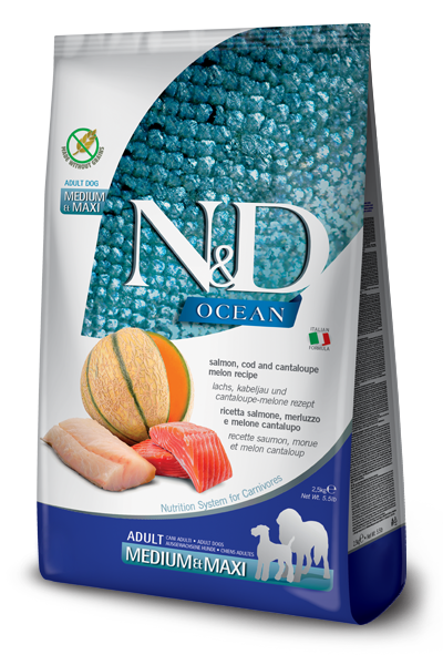 N&D DOG OCEAN SALMON CODFISH MELON MEDIUM MAXI 12KG