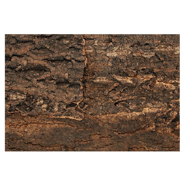 Reljefs terārijam - Repti Planet Background cork natural 29x27,3x2cm
