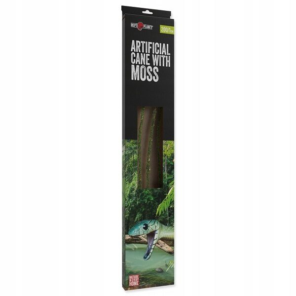 Dekors terārijam - Repti Planet Artificial moss liana with natural look 200/1cm- mākslīgais vīnogulājs