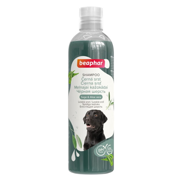 Beaphar Black Coat Shampoo Dog, 250ml - šampūns suņiem