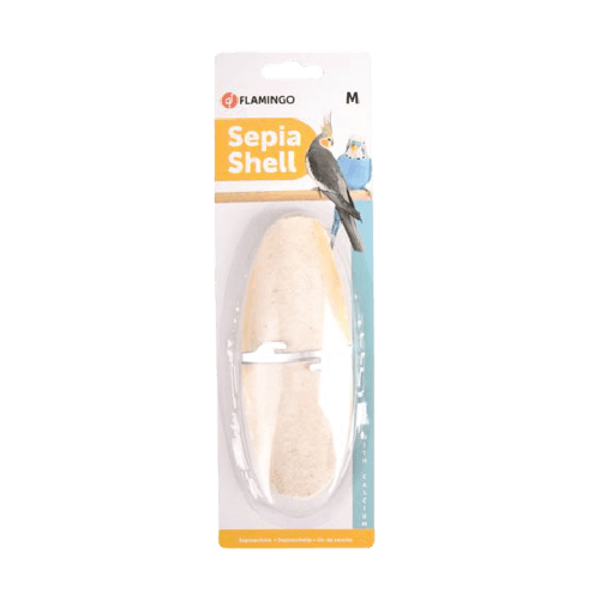 Sepia shell on card 15 cm "Flamingo"