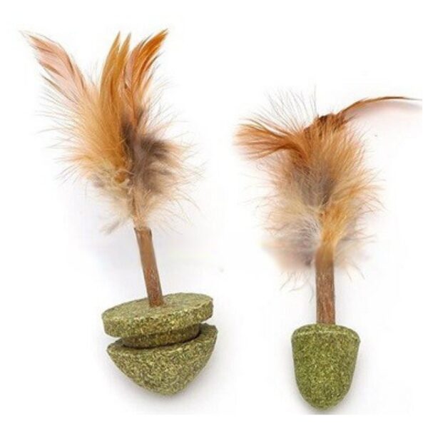 ROTAĻLIETA NOBLEZA SPALVA AR KAĶU MĒTRU