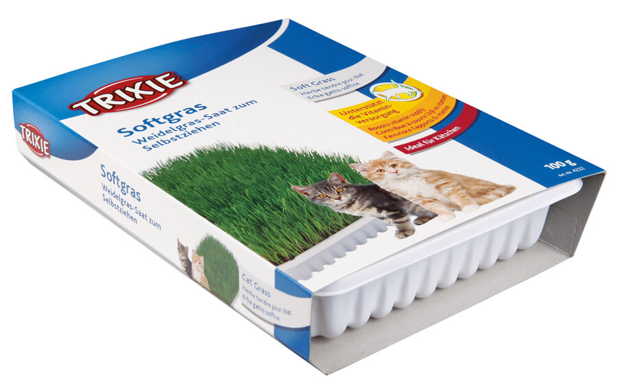 Zāle kaķēniem - Trixie Bio Cat Grass (bowl), 100 g
