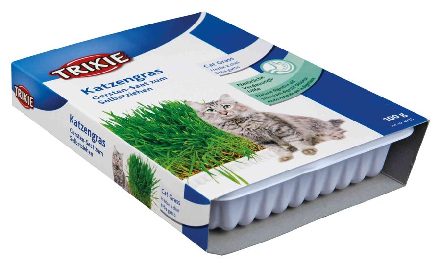 Zāle kaķiem - Trixie Cat Grass (bowl), 100 g