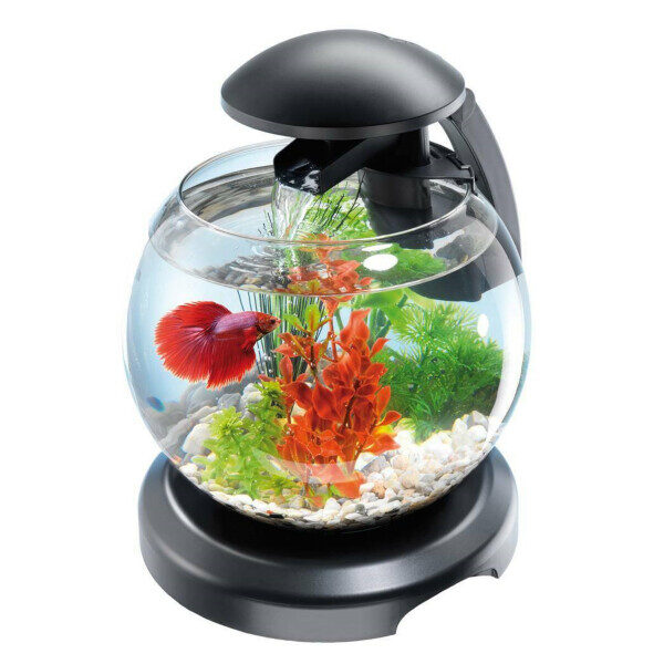 Dekoratīvs akvārijs Cascade Globe Tetra 6.8L melns