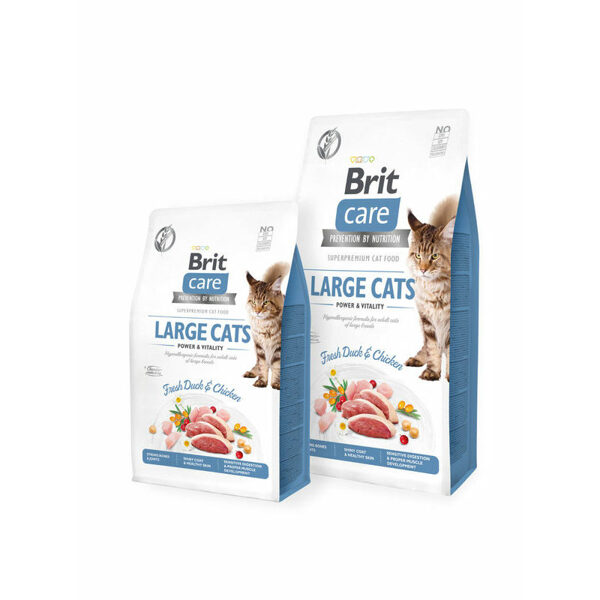 Brit Care Cat GF Large cats Power&Vitality 0,4kg