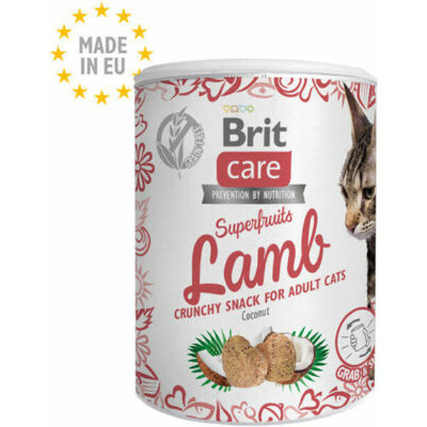 Brit Care Cat Snack Superfruits Lamb 100g papildbarība kaķiem