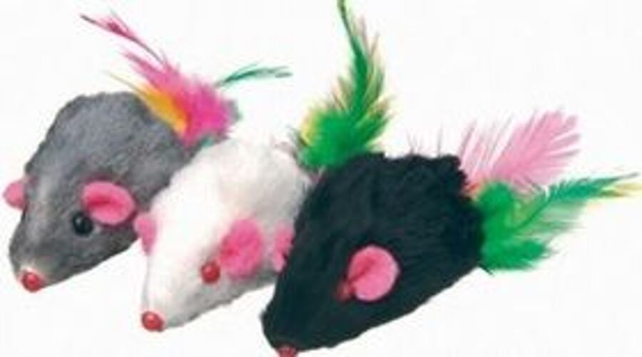 Camon pele ar spalvām un grābekli - rotallieta kaķiem