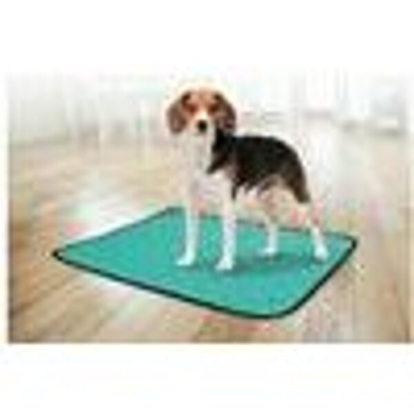 Flamingo TRAINING PAD GREEN S ANTISLIP 54x38cm - apmācības paliktnis