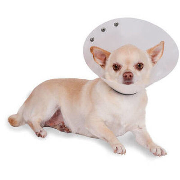 KVP Recova-Clear pēcoperācijas apkakle 19-25 cm