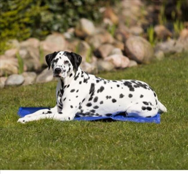 Trixie Cooling mat 100*60cm, blue  - Охлаждающая подстилка для собак