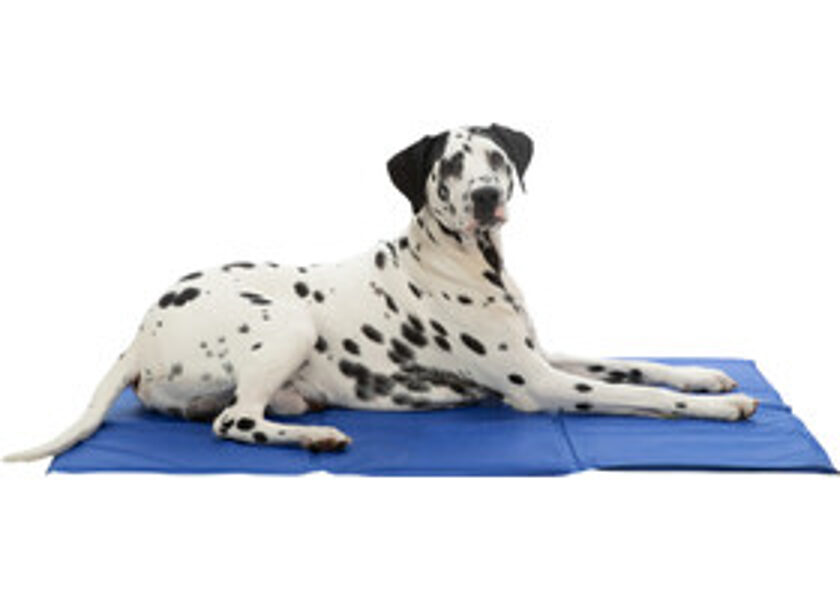 Trixie Cooling mat 100*70cm, blue  - Охлаждающая подстилка для собак