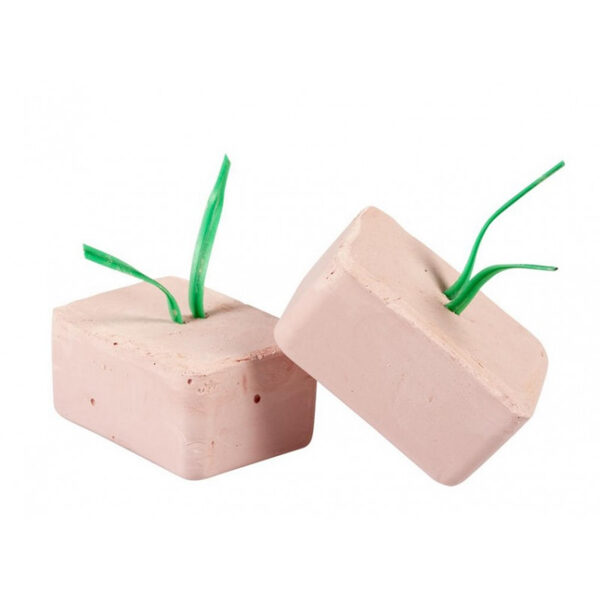 Witte Molen Plus Energy Block Small Red, 12gb